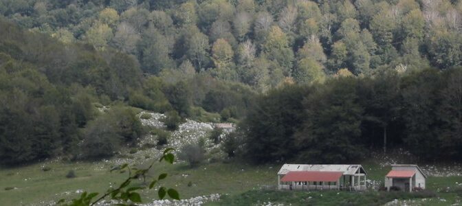 Regolamento uso civici